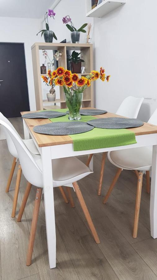 Apartament Karina Năvodari Eksteriør billede